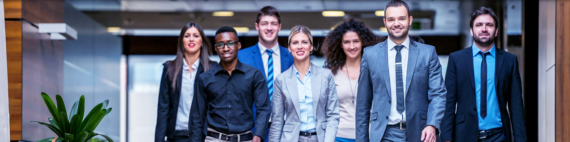 Group of Business Professionals